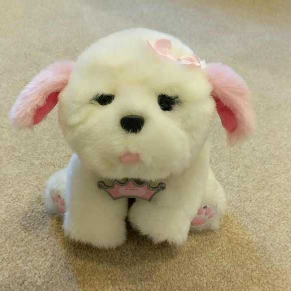 tiara my dream puppy